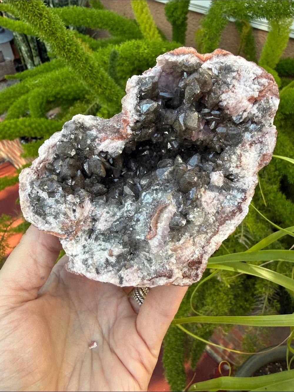 Pink Amethyst and Smoky Quartz Geode with Pink Matrix - Picture 1 of 12